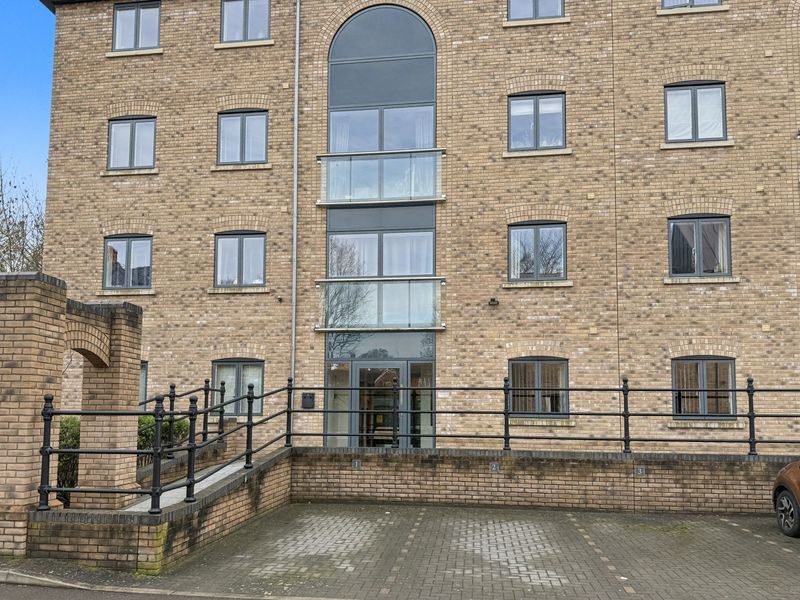 Main Image